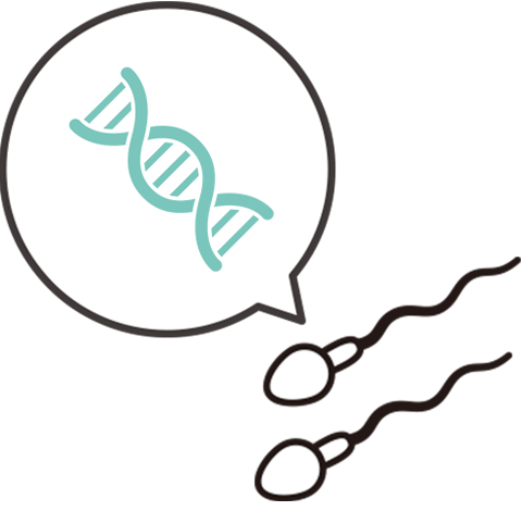 精子DNA断片化指数検査